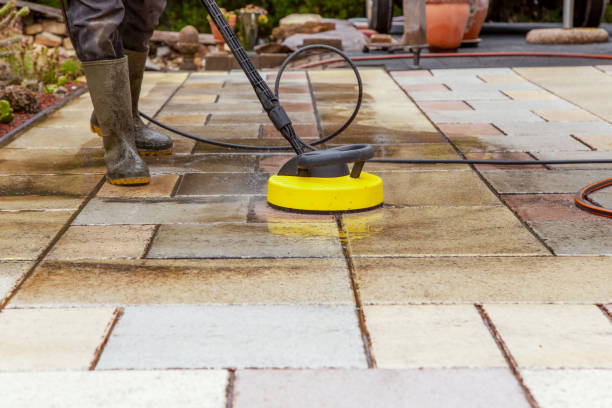 Best Driveway Pressure Washing  in Juno Beach, FL